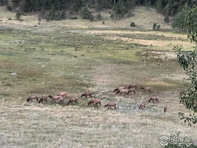 a view of a dry yard with wooden fence