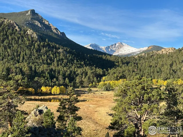a view of a large tree with a yard