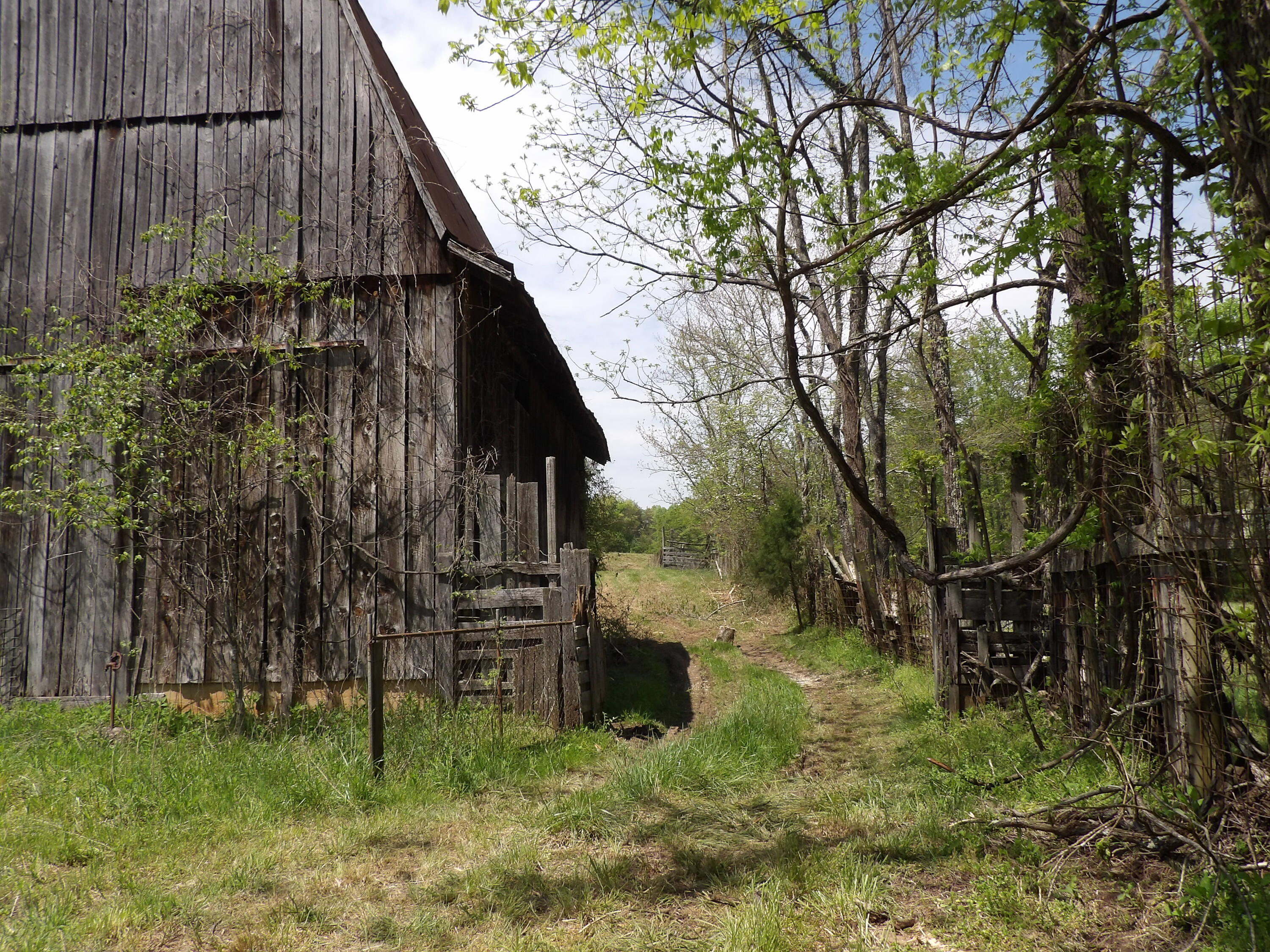 70 Manning Road Grandview, TN 37337 - Photo 35 of 48 100_4292