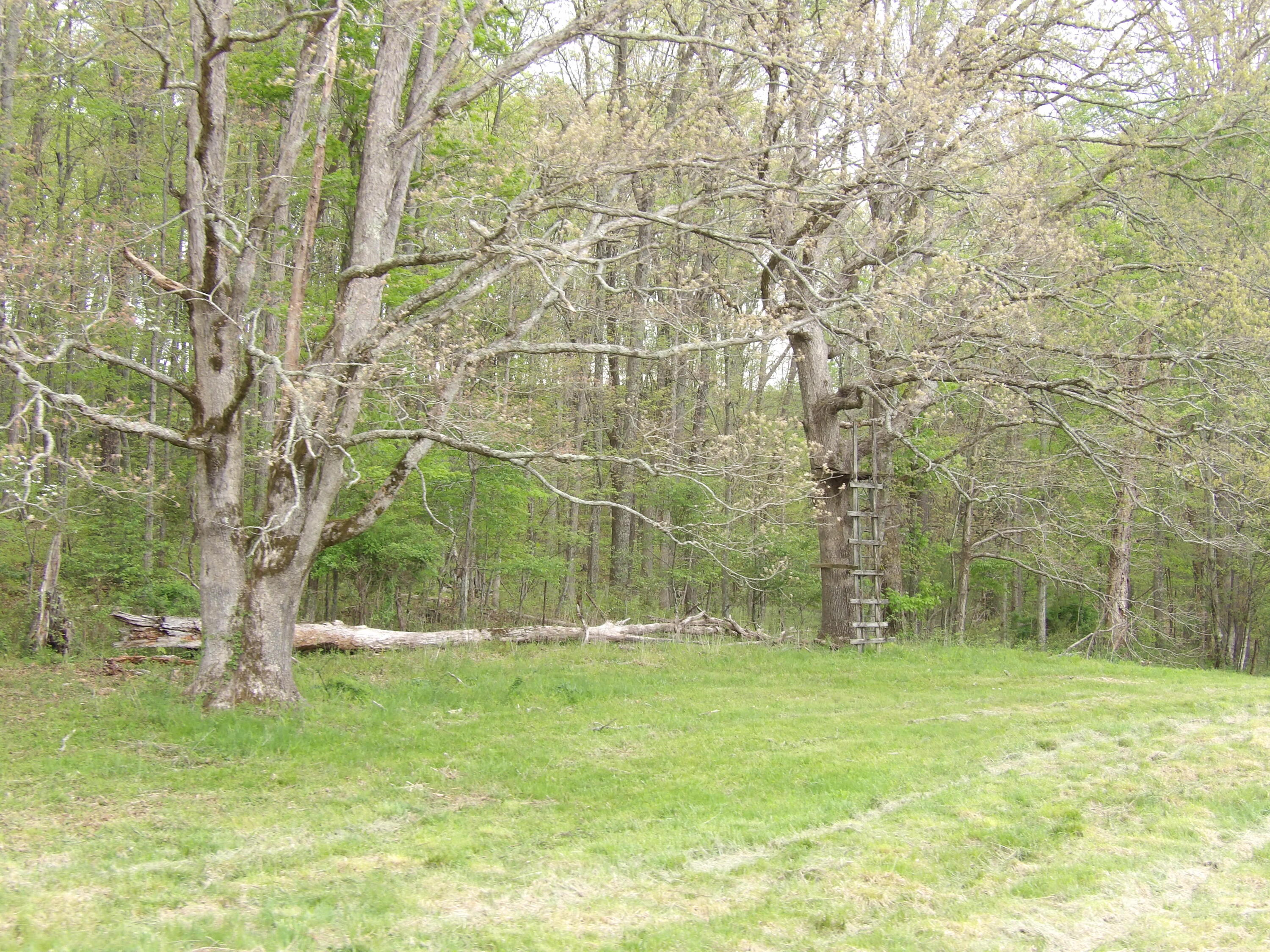 70 Manning Road Grandview, TN 37337 - Photo 8 of 48 100_4261