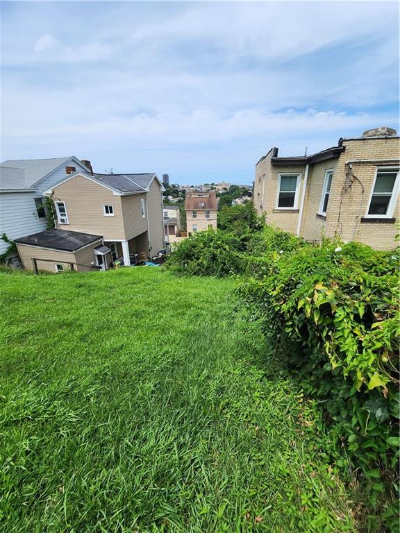 311 Natchez Street Pittsburgh, PA 15211 - Photo 15 of 17 a view of a house with a big yard and large trees