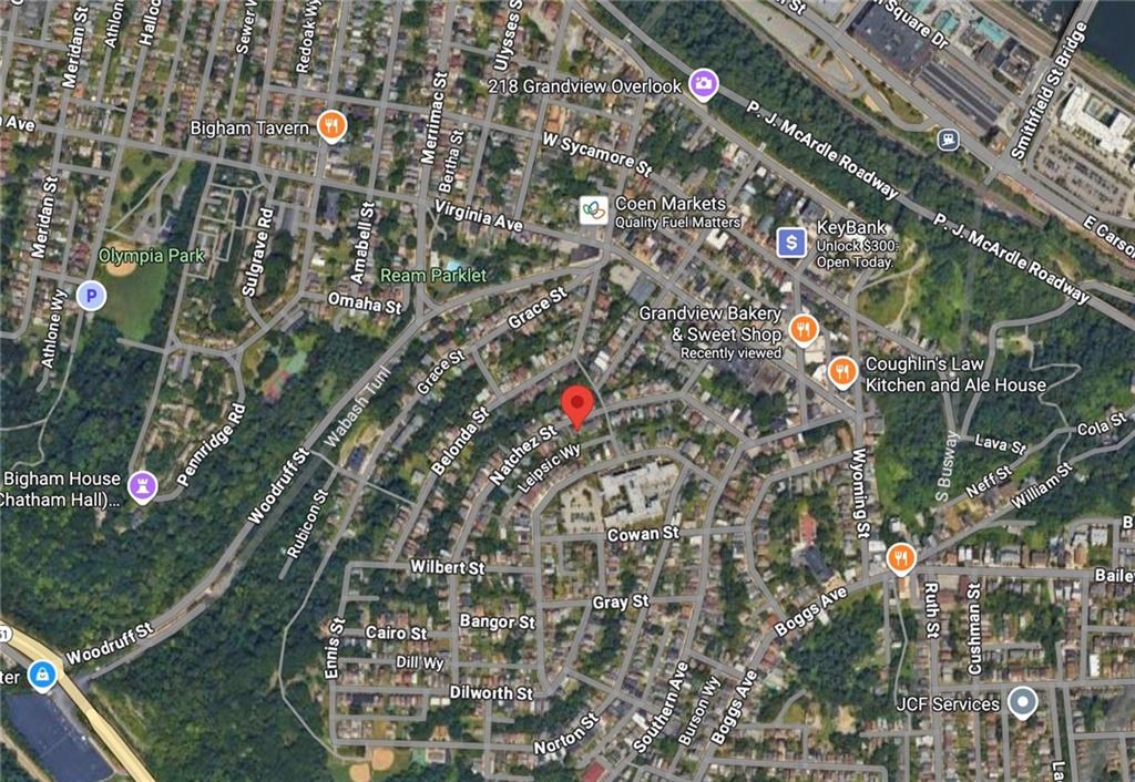 311 Natchez Street Pittsburgh, PA 15211 - Photo 5 of 17 an aerial view of residential houses with outdoor space