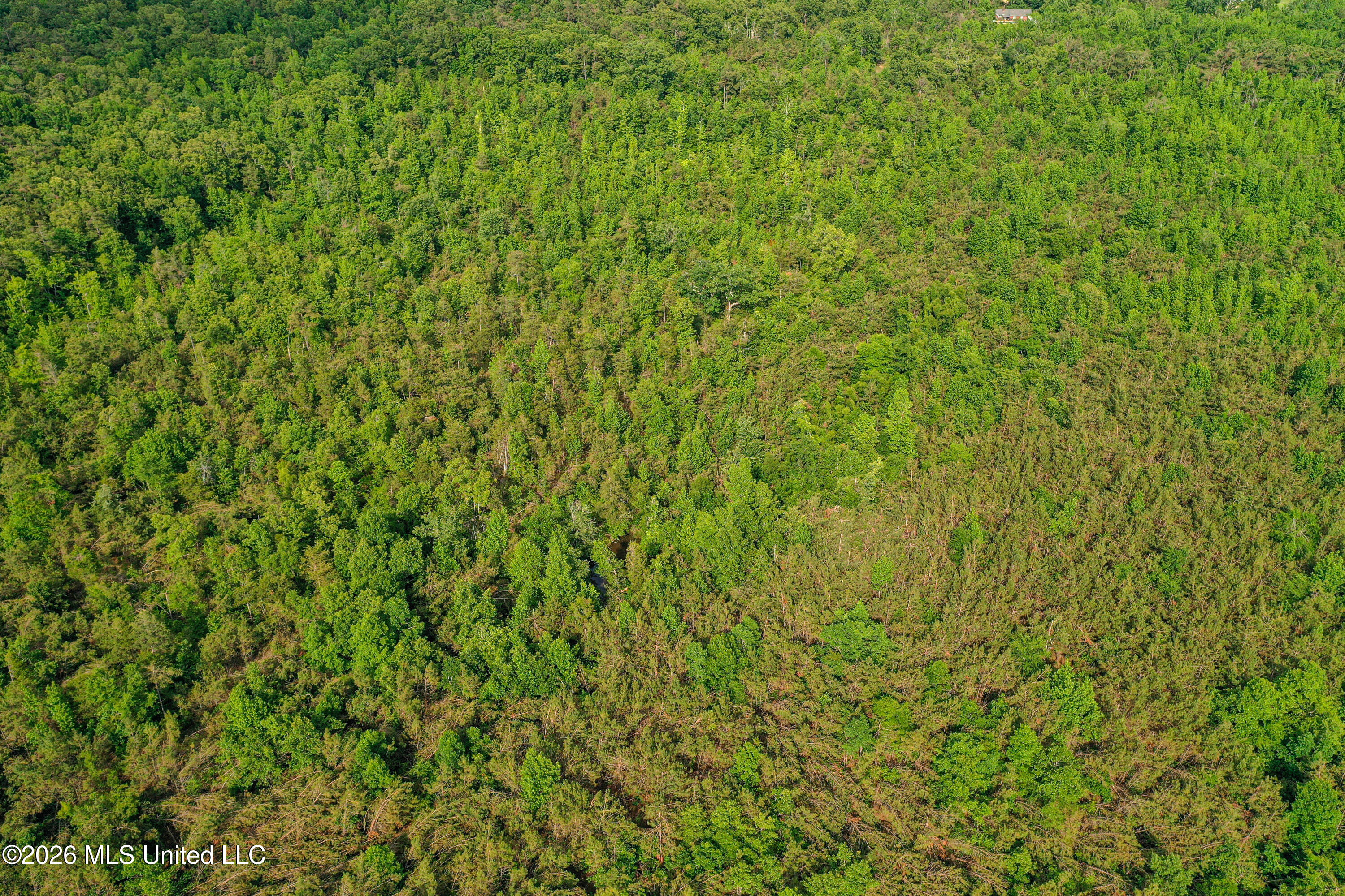 816 County Road Blue Mountain, MS 38610 - Photo 19 of 21 DJI_0753