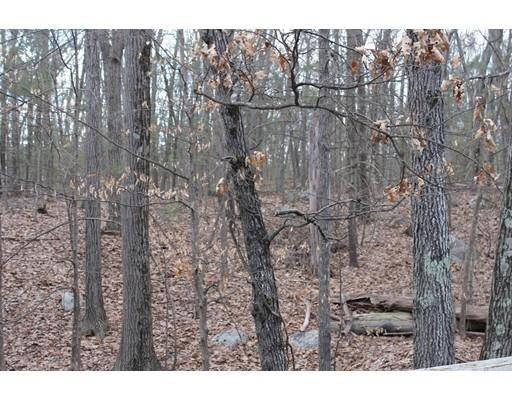 26 Rocky Road Reading, MA 01867 - Photo 12 of 12