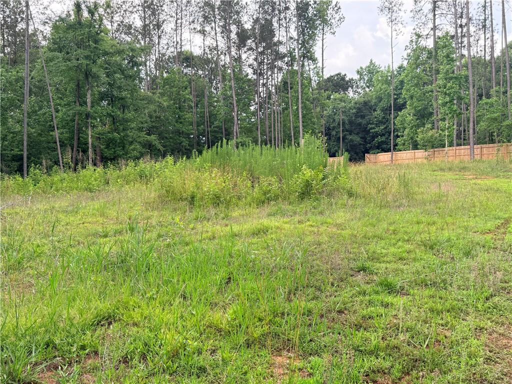 373 Parker Road Covington, GA 30014 - Photo 5 of 6