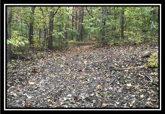 1476 Whetstone Road Bainbridge, OH 45612 - Photo 32 of 37 image032