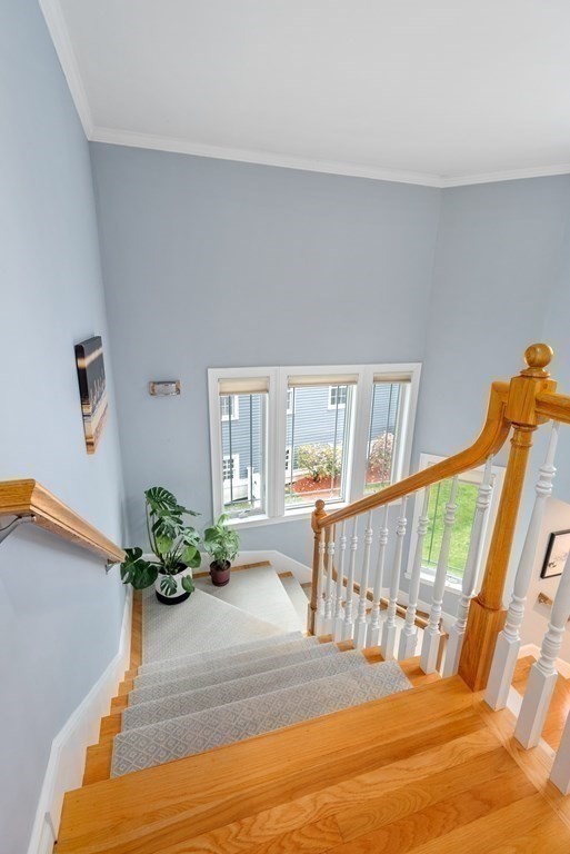 6 Sunset Road Needham, MA 02494 - Photo 16 of 38