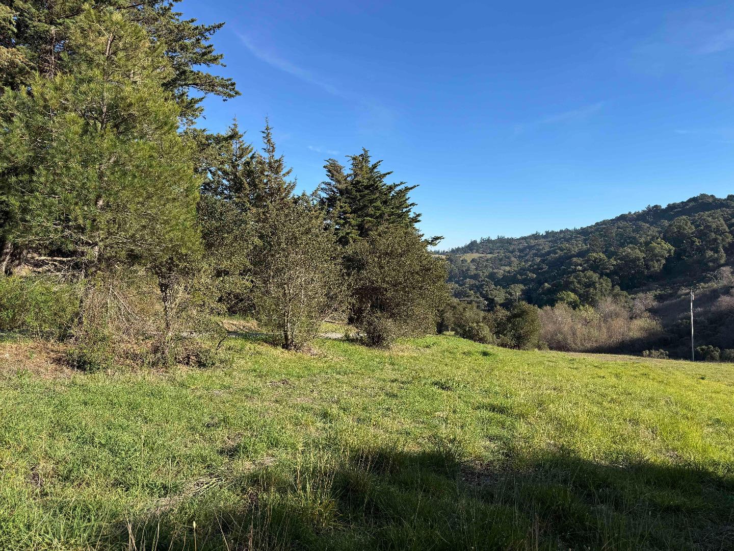 220 Heacox Road Woodside, CA 94062 - Photo 3 of 5 a big yard with green space
