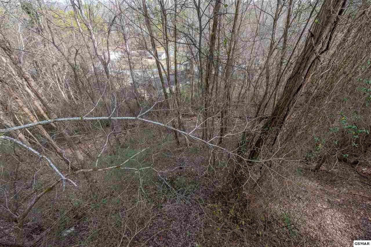 1025 Tramel Road Sevierville, TN 37862 - Photo 17 of 26 Gallery Image 17