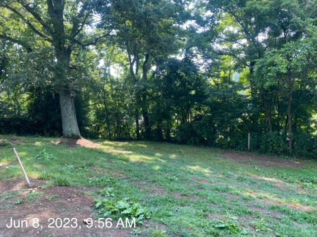 664 Egypt Road Bluff City, TN 37618 - Photo 15 of 18 egypt rd yard 2 060823