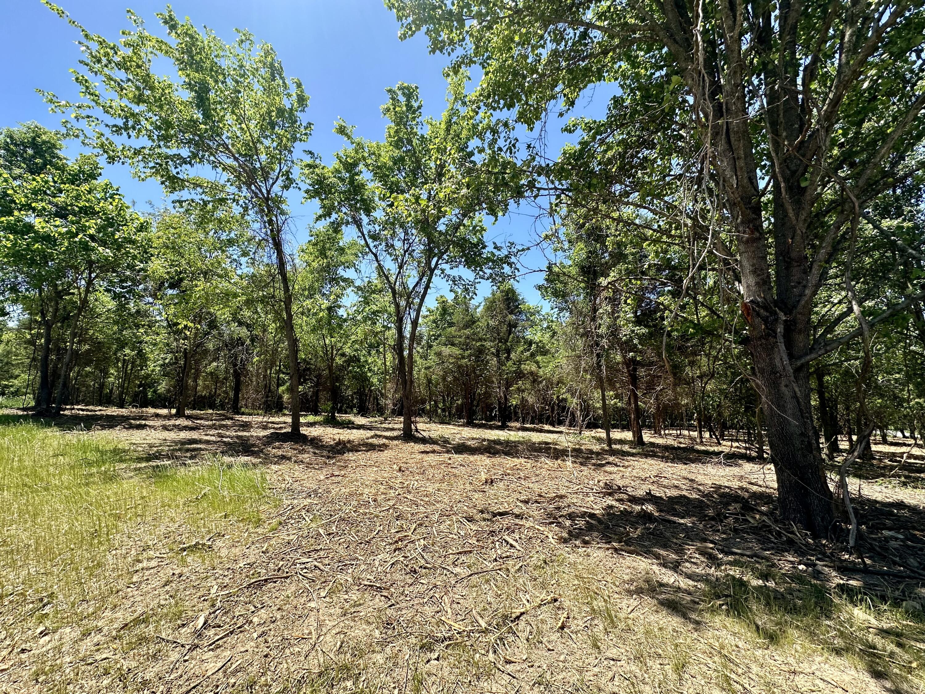 Lot 1 Mack Road Nixa, MO 65714 - Photo 1 of 3 IMG_2417