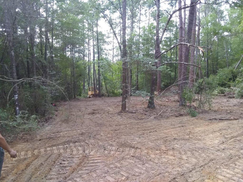 28-29 Fawn Lake Road Crestview, FL 32539 - Photo 2 of 3 a backyard of a house with lots of green space