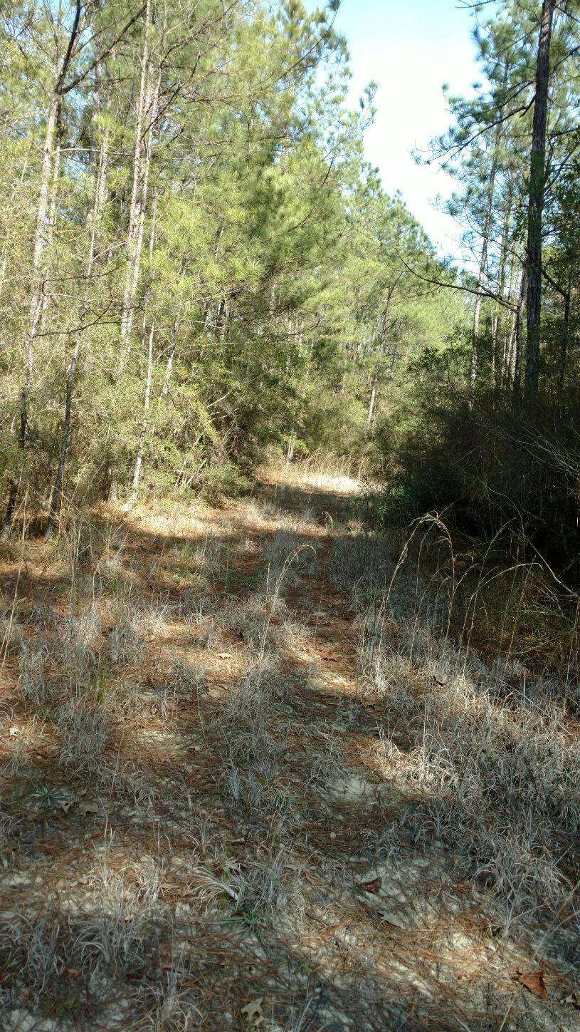 28-29 Fawn Lake Road Crestview, FL 32539 - Photo 3 of 3 a view of beach and small yard