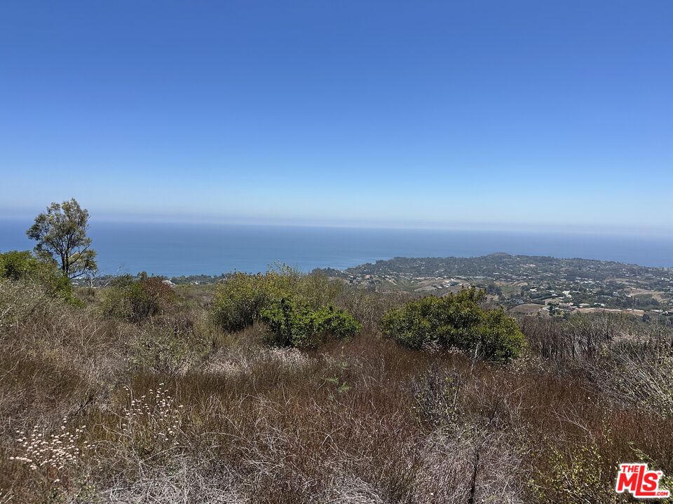 2 Murphy Way Malibu, CA 90265 - Photo 11 of 13 a view of a city with lush green forest