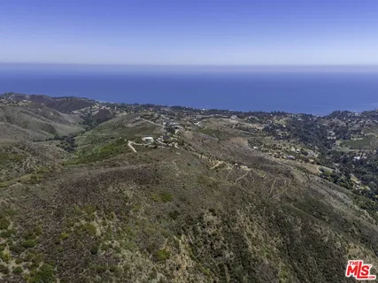 a view of a city with lush green forest