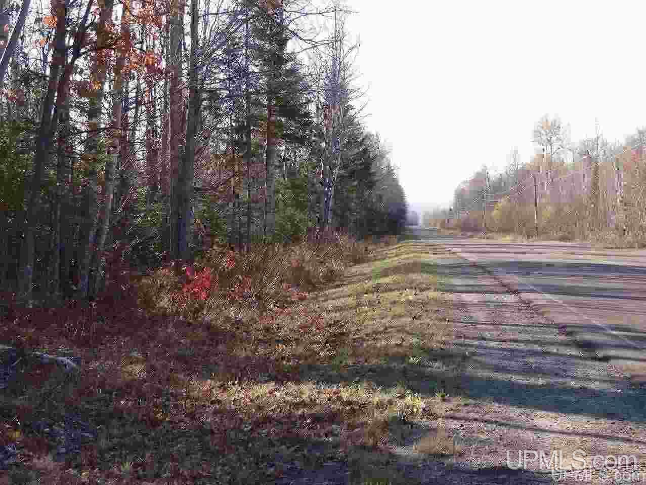 Tbd Townline Road Lanse, MI 49946 - Photo 19 of 22 Gallery Image 19