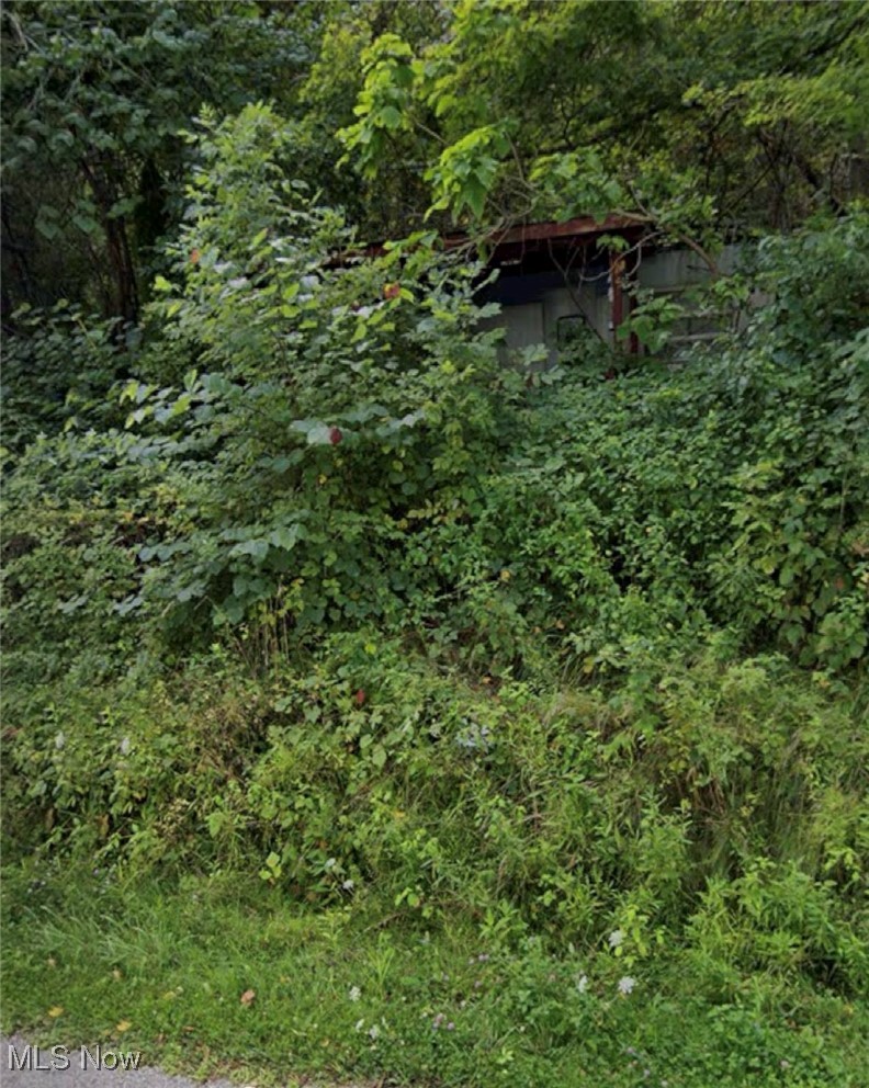 9105 Muskingum River Road Lowell, OH 45744 - Photo 3 of 15 Gallery Image 3