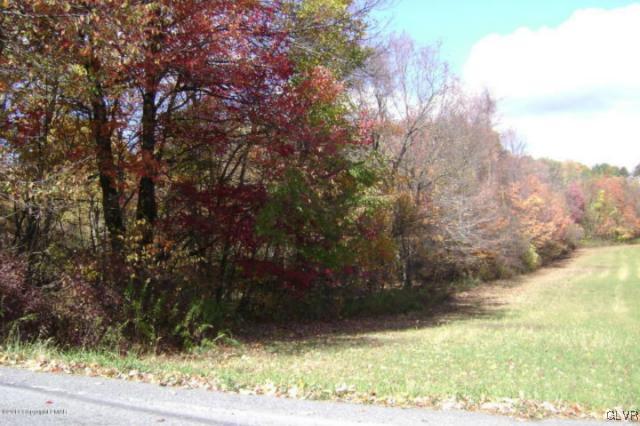 Spruce Road Kunkletown, PA 18058 - Photo 1 of 2 Main View