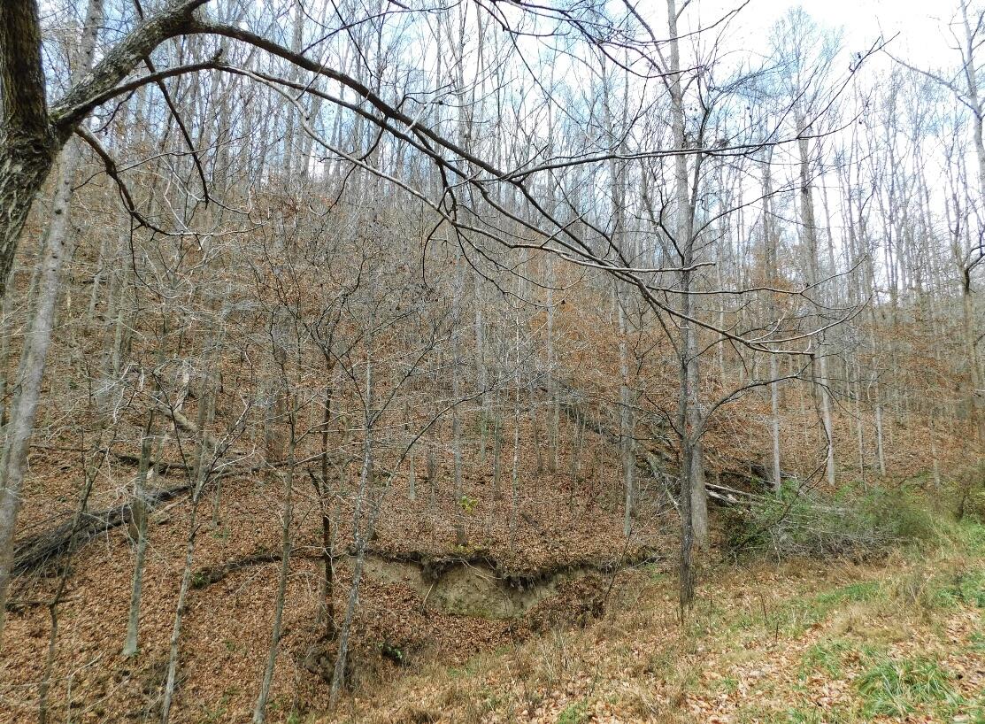 8690 Beattyville Road Jackson, KY 41339 - Photo 100 of 143 AC0A977A-1199-4DBF-BAD1-12A4B16F8757