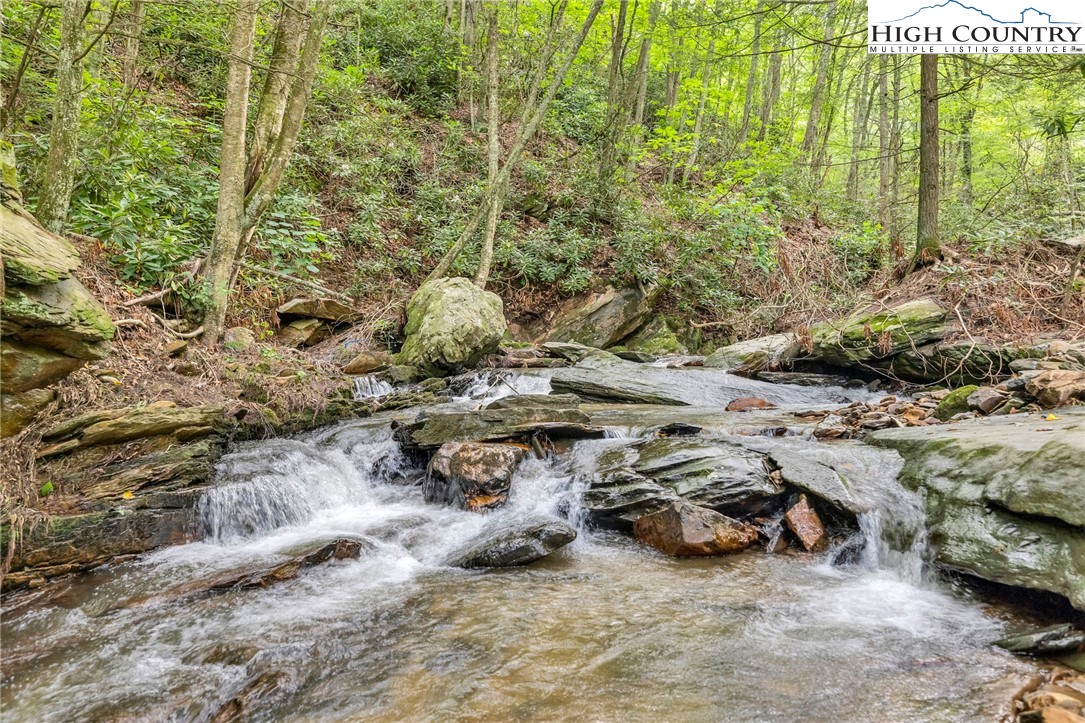 949 Coy Ham Road Lansing, NC 28643 - Photo 2 of 48 a view of a row of trees with cars parked