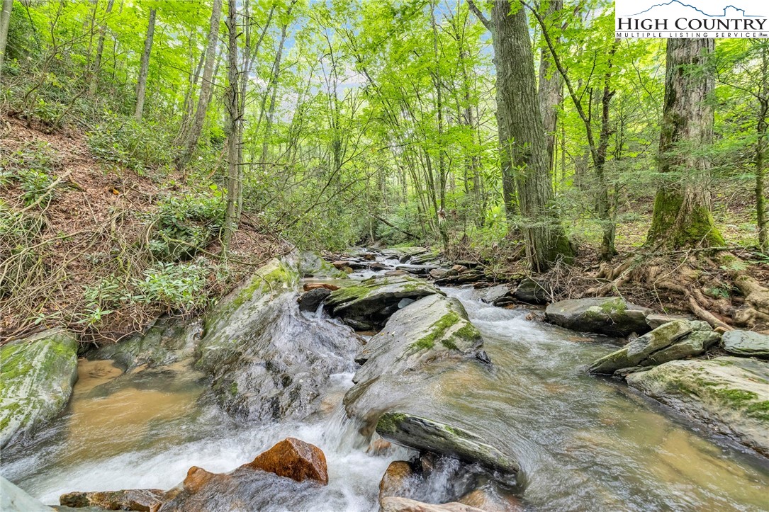 949 Coy Ham Road Lansing, NC 28643 - Photo 3 of 48 a view of swimming pool with a yard