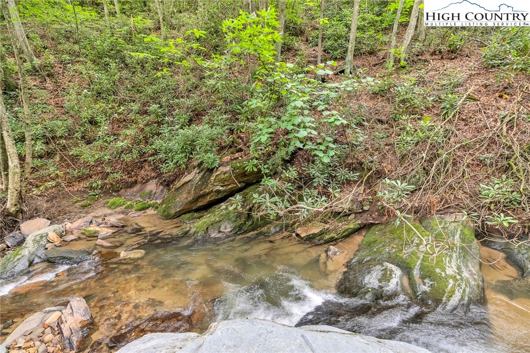 949 Coy Ham Road Lansing, NC 28643 - Photo 4 of 48 a view of a tree with a yard