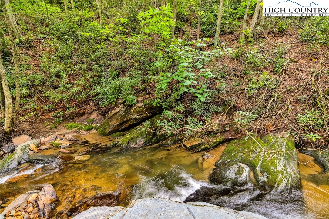 949 Coy Ham Road Lansing, NC 28643 - Photo 45 of 48 a view of a yard with plants and tree
