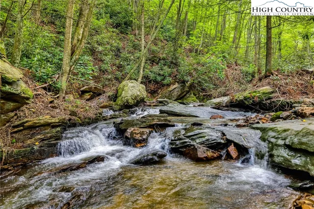 a view of a forest with cars parked