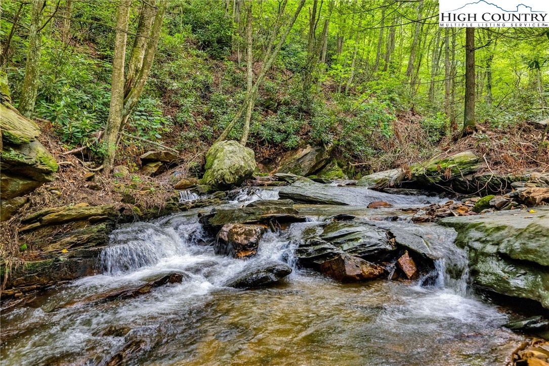 949 Coy Ham Road Lansing, NC 28643 - Photo 8 of 48 a view of a forest with cars parked
