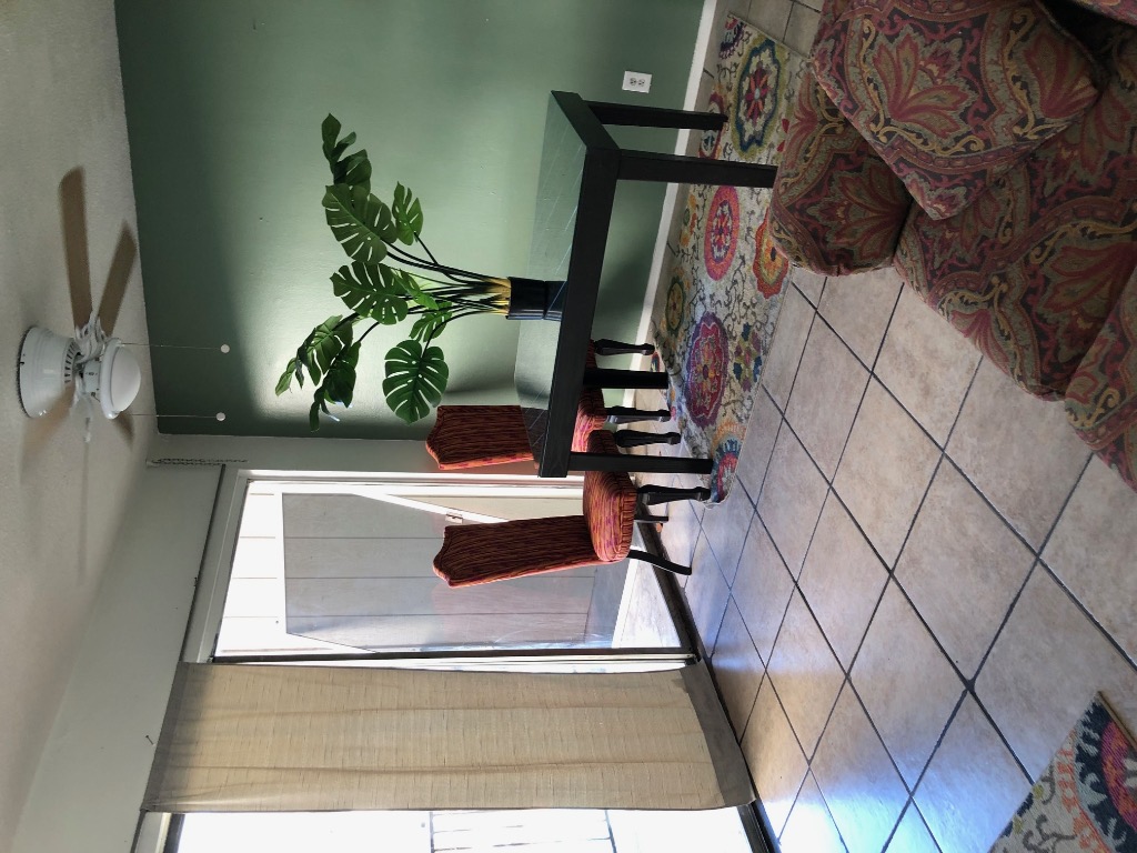 Undisclosed Address Austin, TX 78704 - Photo 6 of 7 a living room with furniture and a potted plant