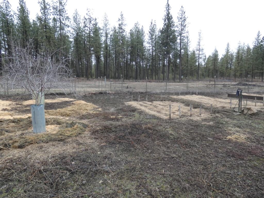 4304 West Depot Springs Road Cheney, WA 99004 - Photo 27 of 35