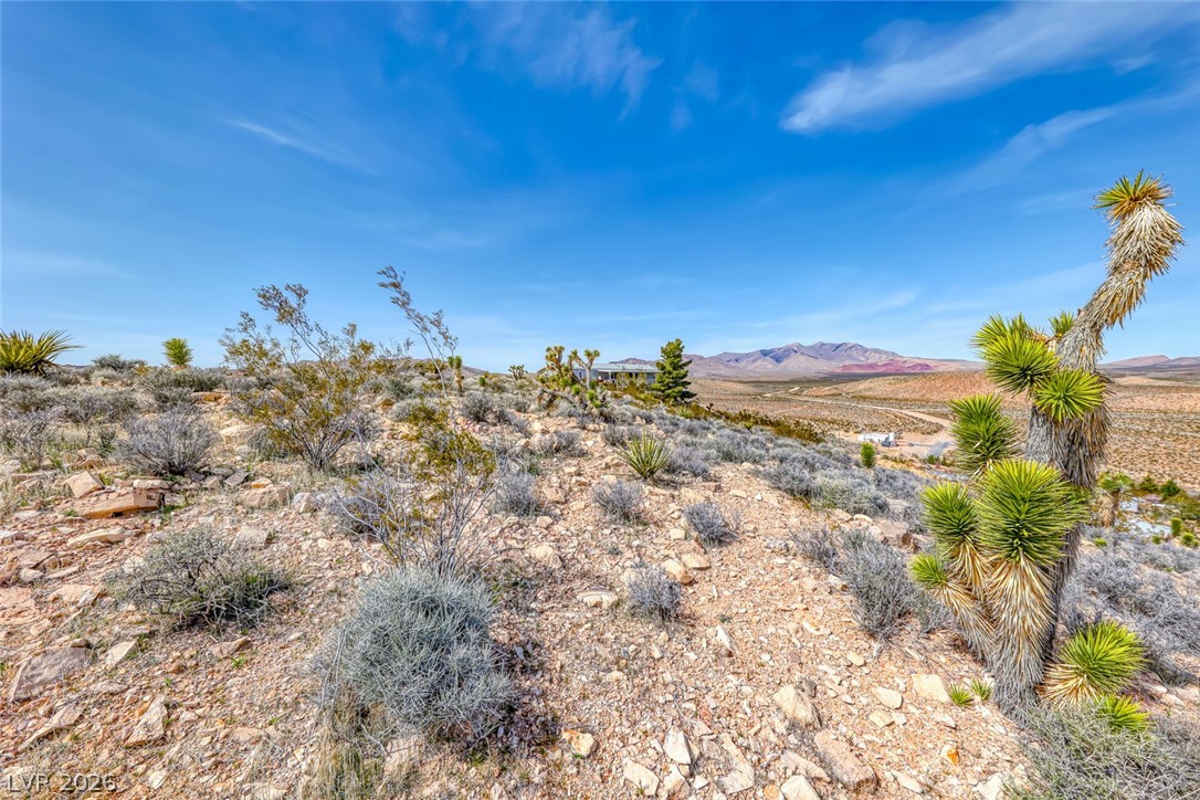 Beacon Street Jean, NV 89019 - Photo 14 of 29
