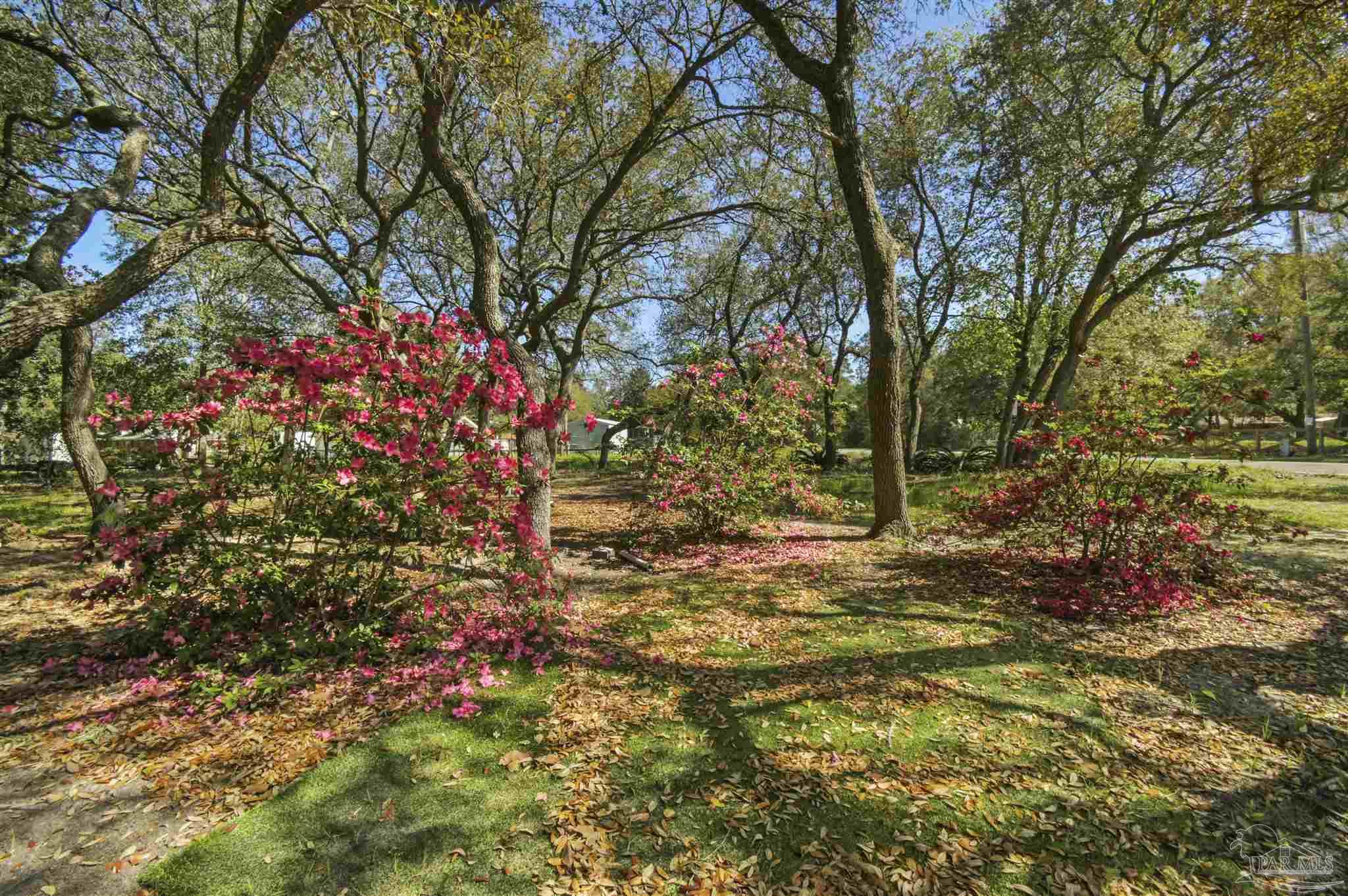 278 Cedar Avenue Freeport, FL 32439 - Photo 6 of 15