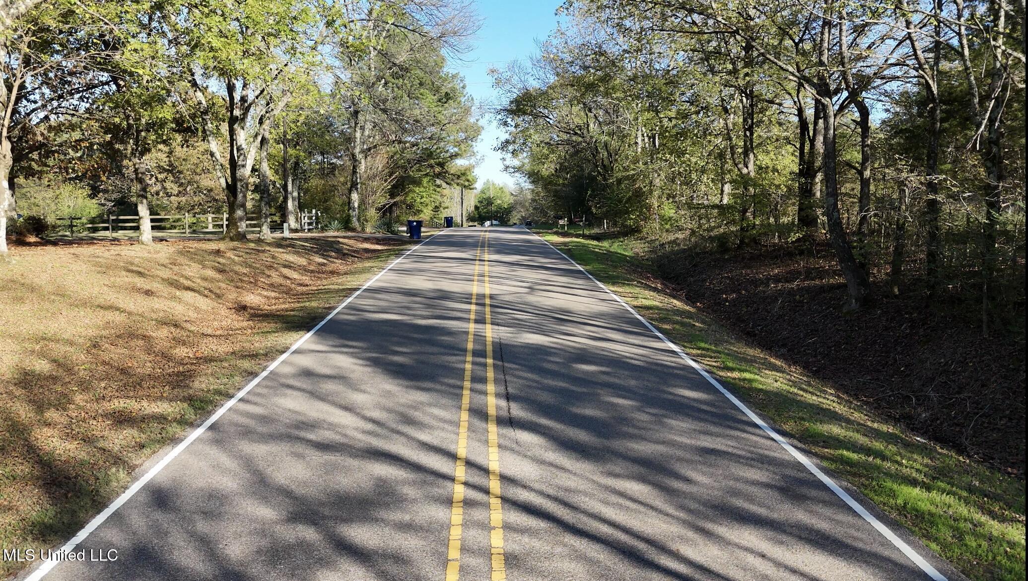 Bethel Road Olive Branch, MS 38654 - Photo 2 of 10 IMG_1597