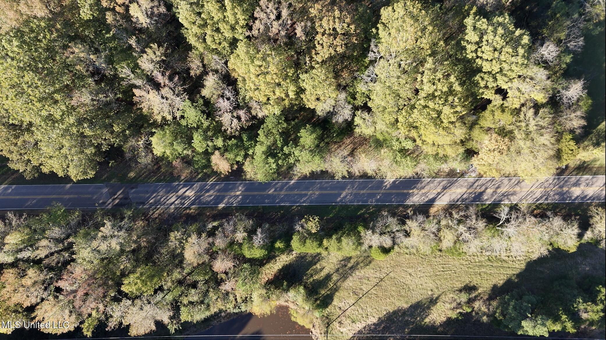 Bethel Road Olive Branch, MS 38654 - Photo 4 of 10 IMG_1595