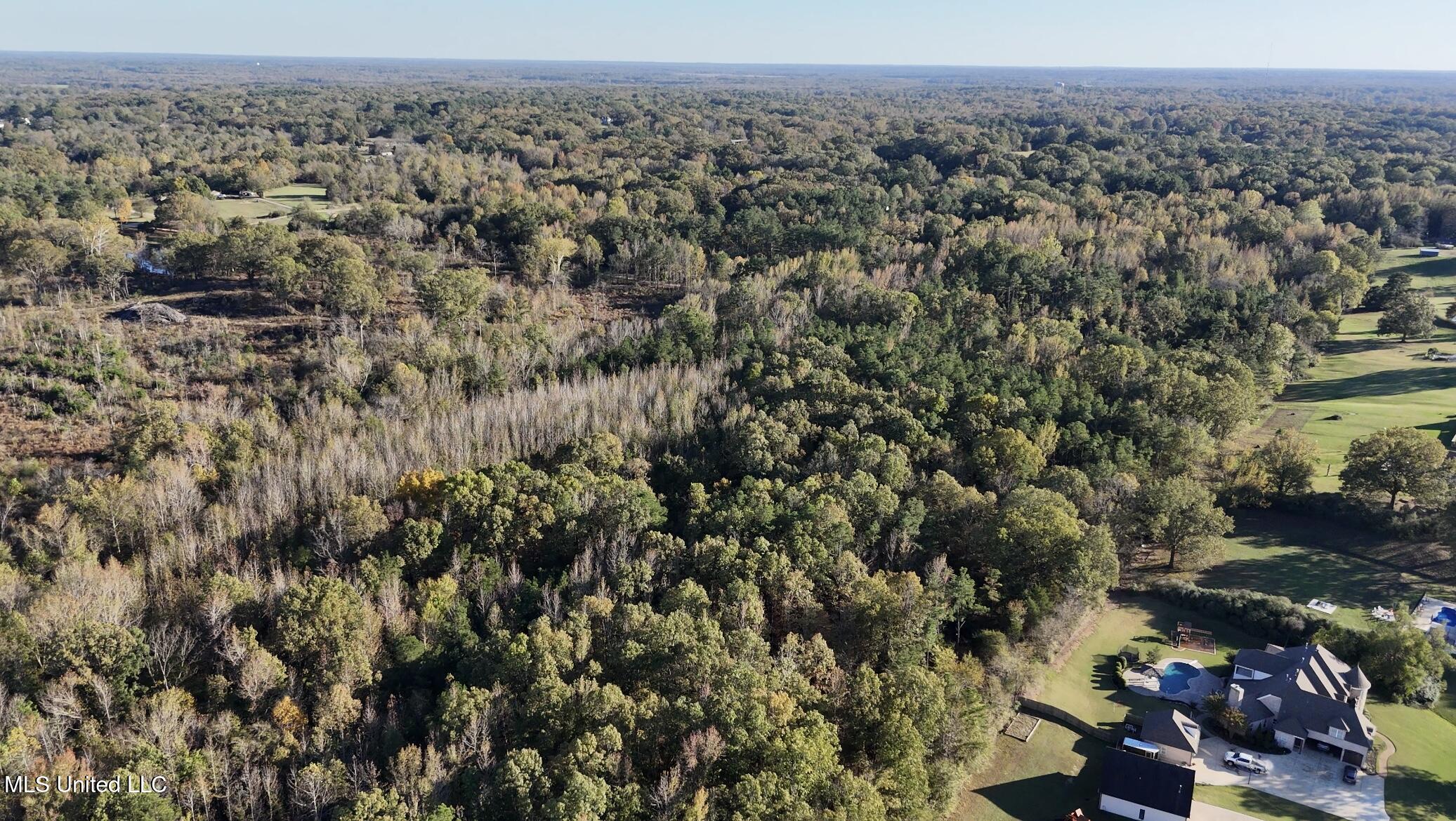 Bethel Road Olive Branch, MS 38654 - Photo 5 of 10 IMG_1598