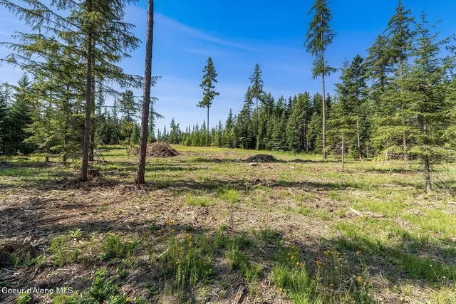 $999,000 | 1 Leonard Loop, Athol, ID 83801