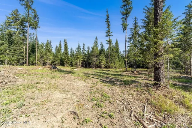 $999,000 | 1 Leonard Loop, Athol, ID 83801