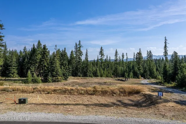 $999,000 | 1 Leonard Loop, Athol, ID 83801