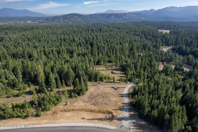 $999,000 | 1 Leonard Loop, Athol, ID 83801