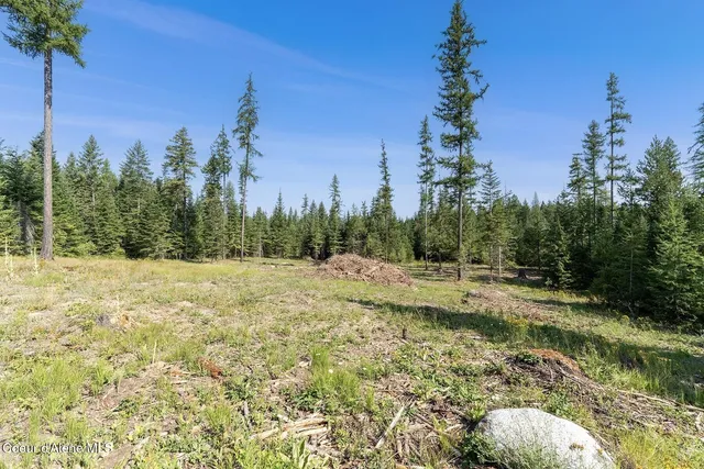 $999,000 | 1 Leonard Loop, Athol, ID 83801