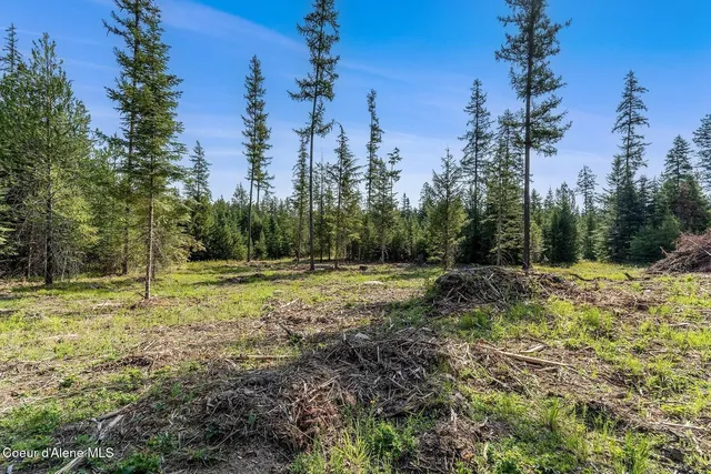 $999,000 | 1 Leonard Loop, Athol, ID 83801