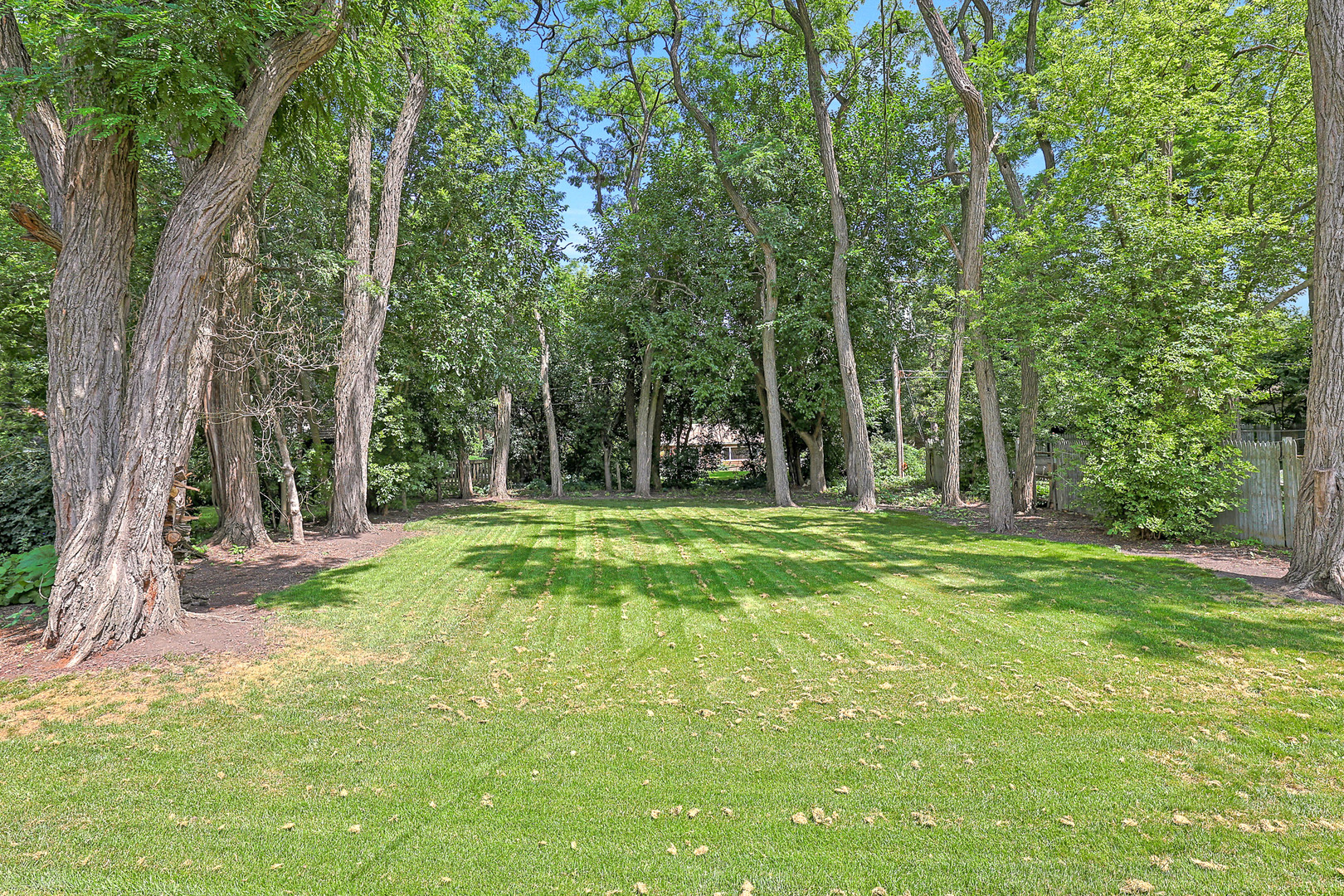 727 South Cook Street Barrington, IL 60010 - Photo 24 of 26 a view of a park with large trees