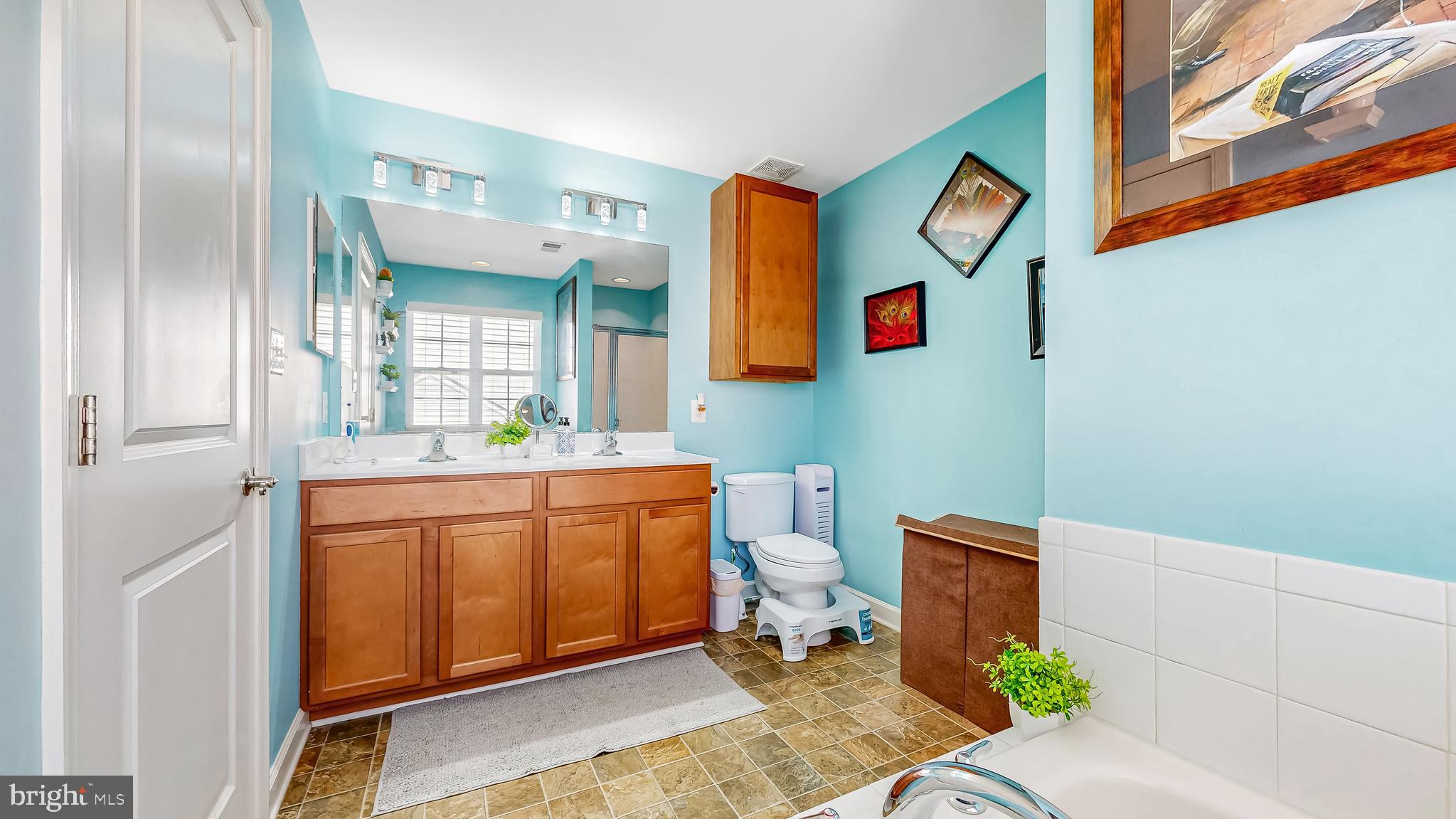 240 Mayapple Lane Magnolia, DE 19962 - Photo 24 of 93 Primary Bathroom