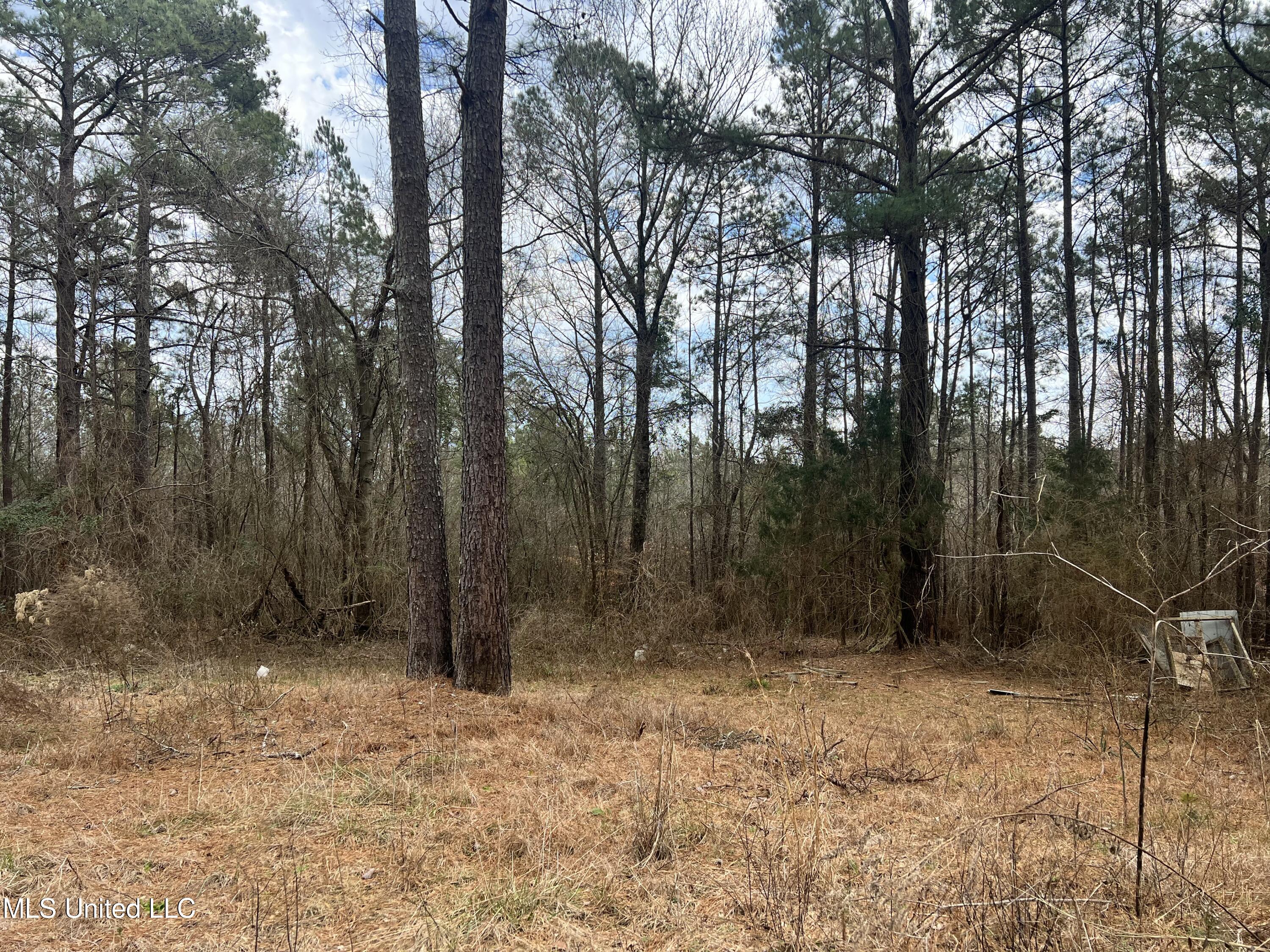 1368 Hopoca Road Carthage, MS 39051 - Photo 3 of 6 DA059A2B-9C21-43B8-85E0-DCBE7599E192