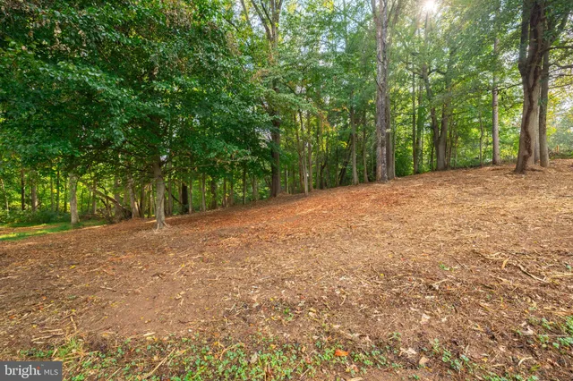 a view of a field with trees in the background