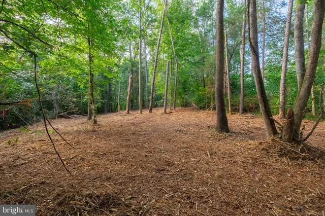 a view of outdoor space with trees