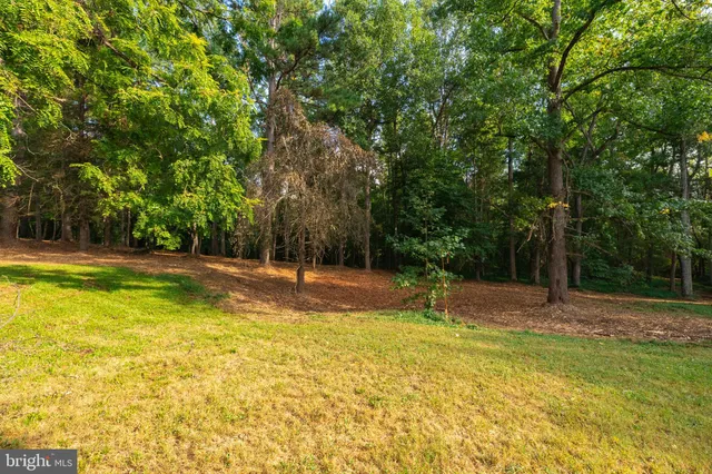 a view of a swimming pool with a yard