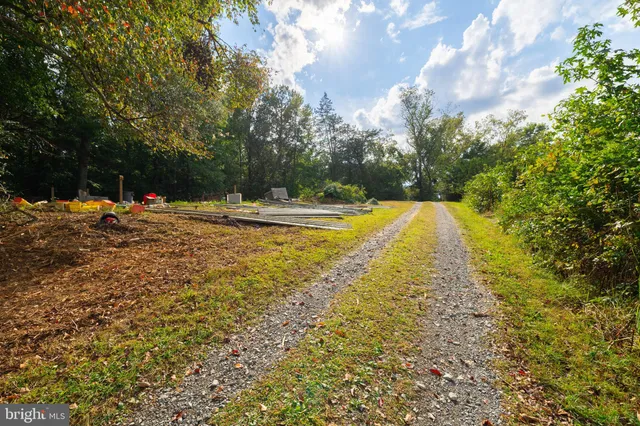 a view of a yard with trees