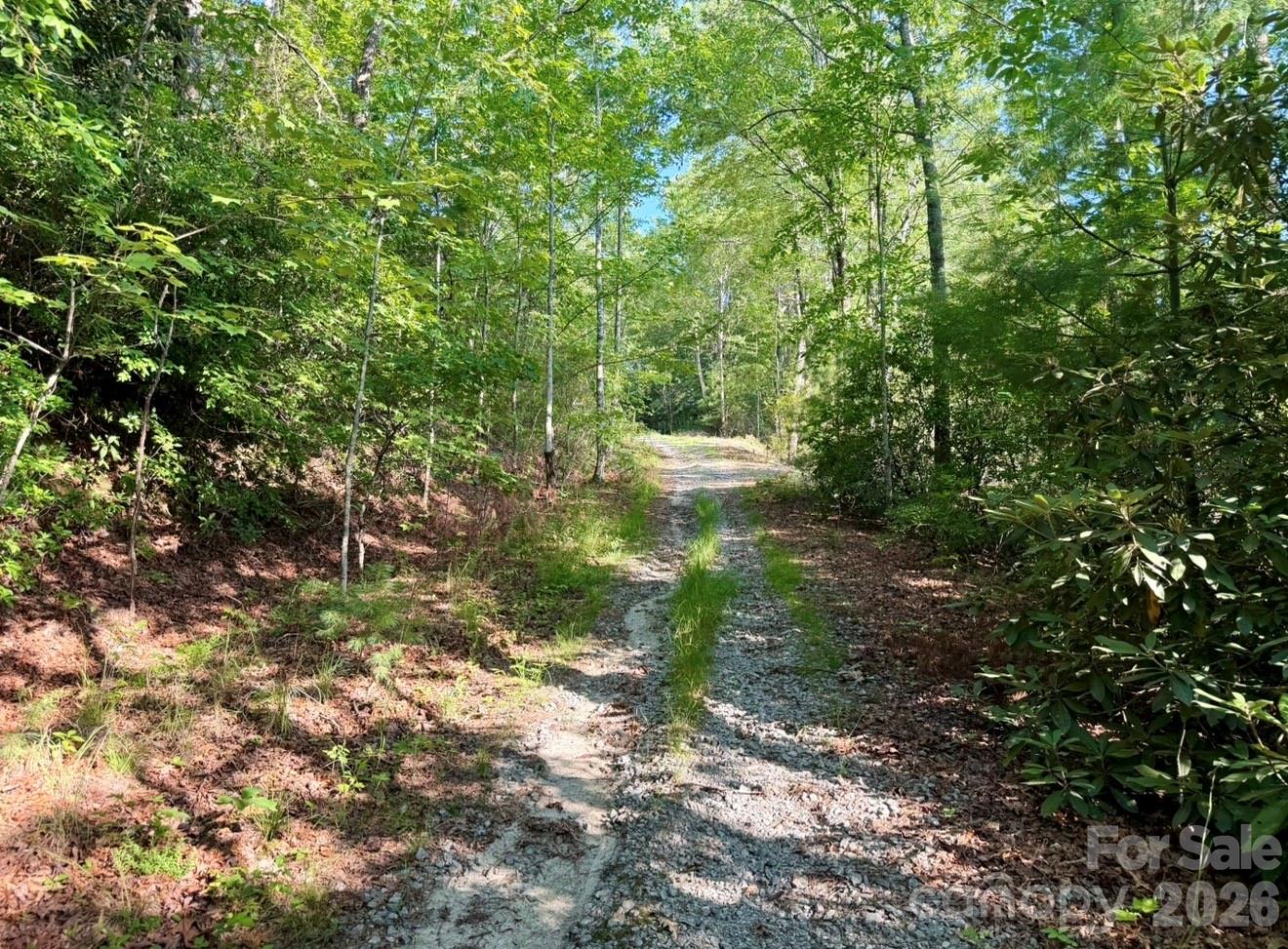 Off Old Toxaway Road Brevard, NC 28712 - Photo 31 of 32 Gallery Image 31